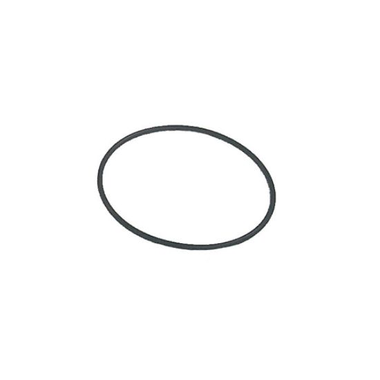 Picture of Sierra 18-7407 O-Ring Johnson Evinrude 911700