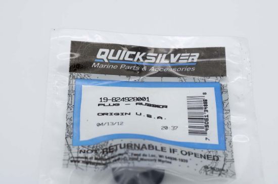 Picture of 19-824928001 Plug